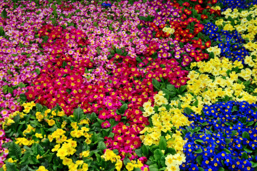 658295 (a): :2500x1660